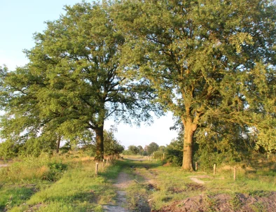 Camping in prachtige natuur