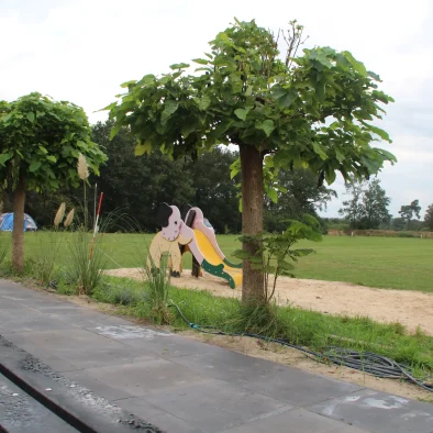 Informatie natuurcamping de boerenzwaluw