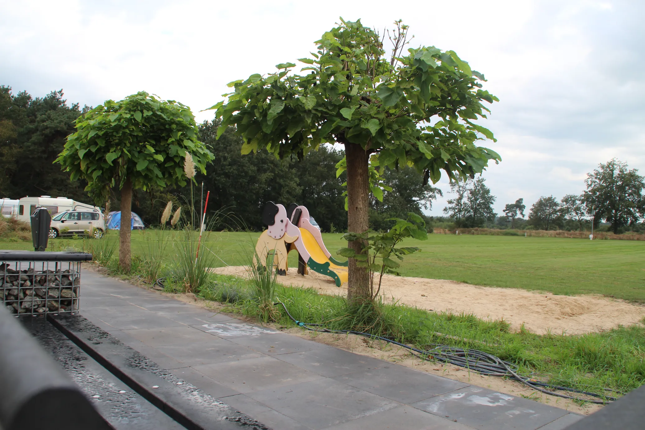 Informatie natuurcamping de boerenzwaluw